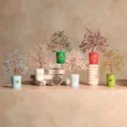 BIRTHTOLFL6912_-1z_1_1_1_1.webp