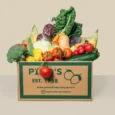 VegBox-_Edited-e1748419564546.webp